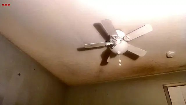 VanceFontaine online show from 03-24-26, 01:21