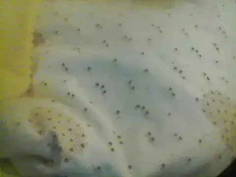 Snapshot of Bigpenis6y chatting on 01-24-25, 05:21 Bigpenis6y online show from 01-24-25, 05:21