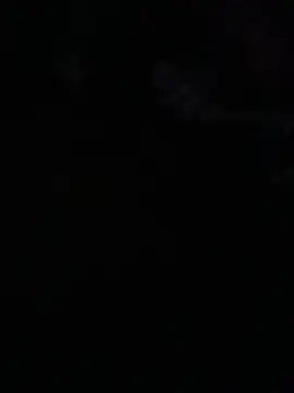 Snapshot of avans_15 chatting on 05-14-26, 12:06 avans 15 online show from 05-14-26, 12:06