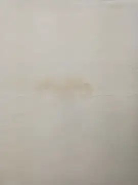 Rina777o online show from 12-30-24, 08:36