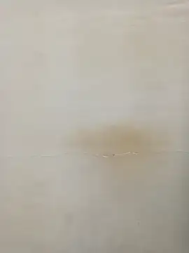 Rina777o online show from 03-07-25, 06:11