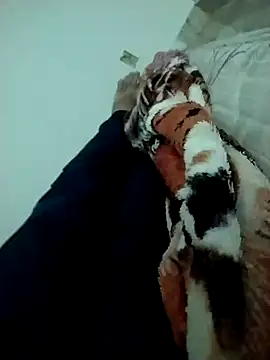 Snapshot of lm279 chatting on 02-14-25, 03:47 lm279 online show from 02-14-25, 03:47