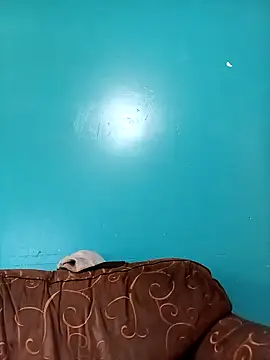 Snapshot of TUMORENO1 chatting on 09-08-25, 08:41 TUMORENO1 online show from 09-08-25, 08:41