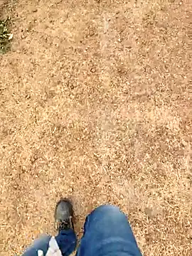 Ishan003 online show from 03-06-26, 03:03