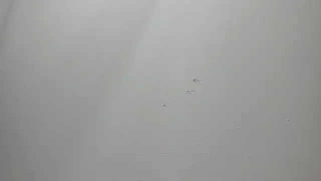 JackSwan18 online show from 12-04-25, 07:33