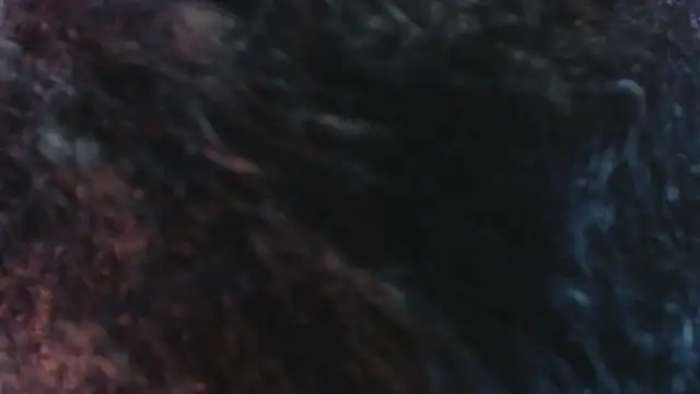 Sofiacowperx online show from 03-31-26, 12:38