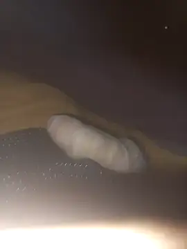 Snapshot of Eldelas_guachas chatting on 12-01-25, 09:25 Eldelas guachas online show from 12-01-25, 09:25