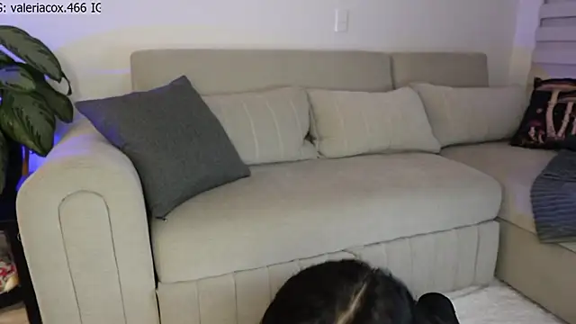 ValeriaCox online show from 03-24-26, 09:36