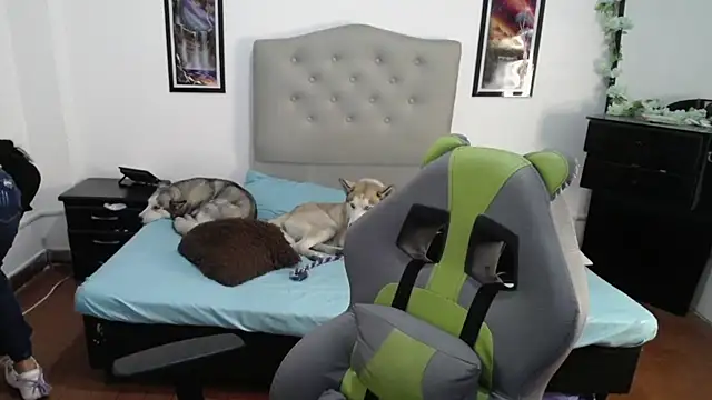 Snapshot of Nalaa_Sc chatting on 03-01-25, 04:26 Nalaa Sc online show from 03-01-25, 04:26