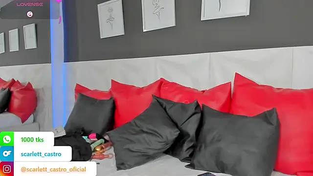Snapshot of scarlet_castro chatting on 02-18-25, 02:49 scarlet castro online show from 02-18-25, 02:49
