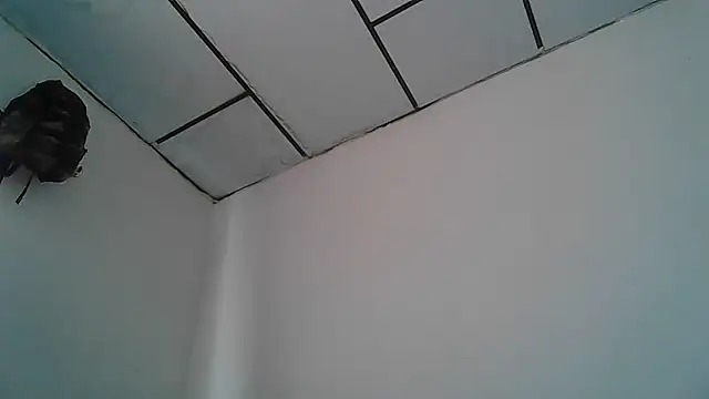 Snapshot of Alphadavid_23 chatting on 04-30-26, 04:02 Alphadavid 23 online show from 04-30-26, 04:02