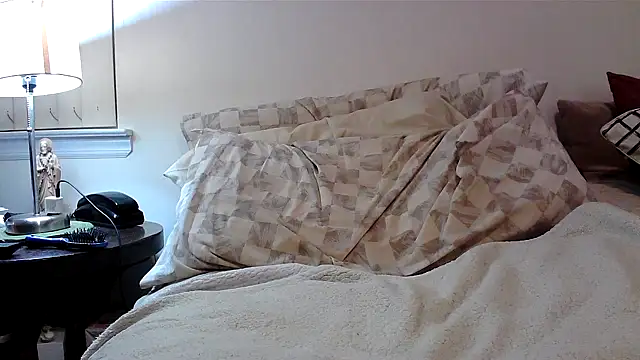 Snapshot of Hand69someguy chatting on 12-05-25, 03:48 Hand69someguy online show from 12-05-25, 03:48