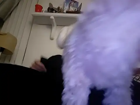 Snapshot of Hand69someguy chatting on 01-10-26, 06:37 Hand69someguy online show from 01-10-26, 06:37