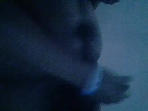 Snapshot of mateomalp675_90 chatting on 04-28-26, 03:28 mateomalp675 90 online show from 04-28-26, 03:28