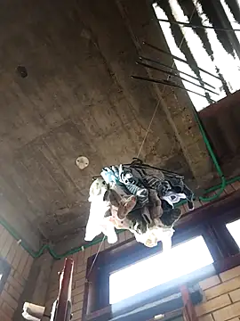 gigolopez1 online show from 02-15-26, 12:14