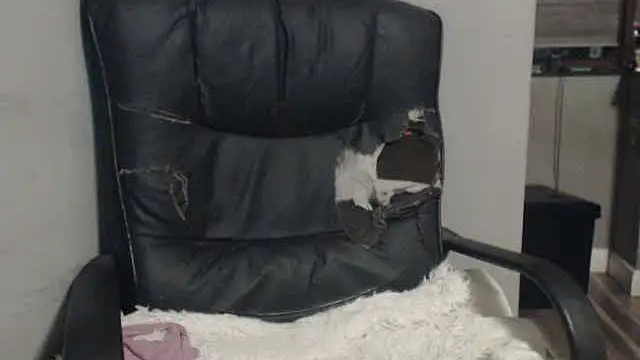 sexyfuckers online show from 11-06-25, 09:37