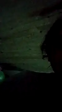 bonnnieandclydee online show from 03-12-25, 02:09