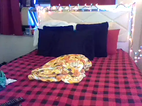 lachulalarubie online show from 01-12-25, 10:01