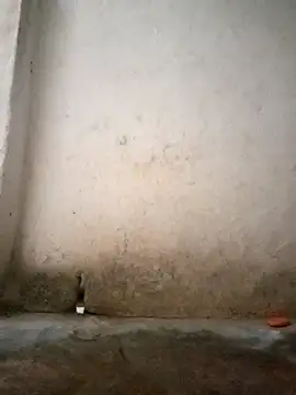 Snapshot of Hotty-queen chatting on 10-11-25, 02:11 Hotty-queen online show from 10-11-25, 02:11