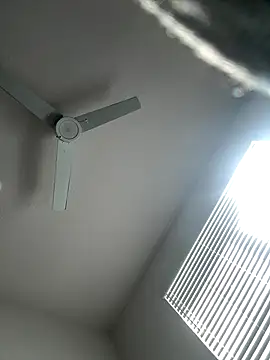 PointingPetrol online show from 01-05-26, 06:55