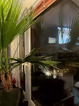 Snapshot of pillepallex84x chatting on 01-09-26, 04:54 pillepallex84x online show from 01-09-26, 04:54