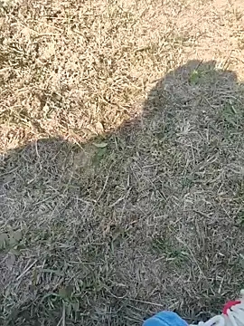 Gururonny07 online show from 01-27-25, 07:45