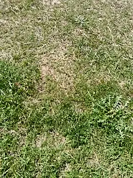 Gururonny07 online show from 03-06-25, 07:57