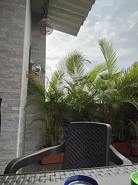 Laura fernandezII online show from 02-24-26, 01:31