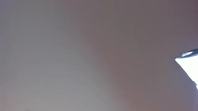 Snapshot of Laurent_Williams chatting on 12-28-24, 10:02 Laurent Williams online show from 12-28-24, 10:02