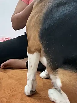 Snapshot of sissarahotty chatting on 02-02-25, 11:21 sissarahotty online show from 02-02-25, 11:21