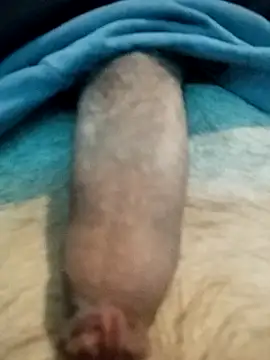 Snapshot of Maksim030 chatting on 12-11-24, 08:50 Maksim030 online show from 12-11-24, 08:50