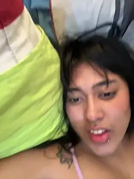 pawmistry online show from 01-05-26, 07:50