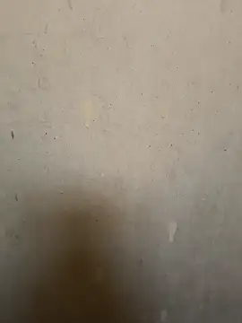 loveme99004 online show from 02-16-26, 02:29