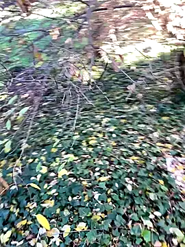 Lucascacaca online show from 12-04-24, 02:04