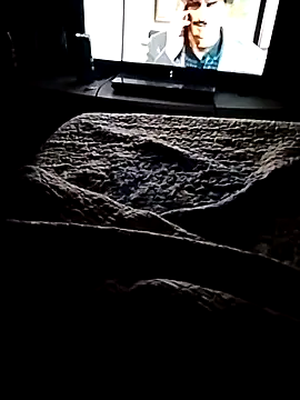 minitranca online show from 02-21-26, 03:18