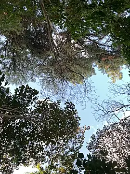  PhillipBrown online show from 09-10-25, 11:32