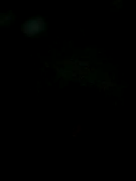 Karthik924 online show from 02-01-25, 06:19