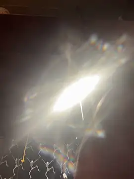 mascmo88 online show from 01-05-26, 11:52