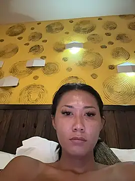 thai-dreamgirl online show from 04-03-26, 12:08