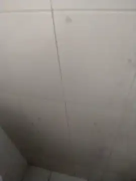 Snapshot of rohitlov150 chatting on 09-18-25, 02:52 rohitlov150 online show from 09-18-25, 02:52