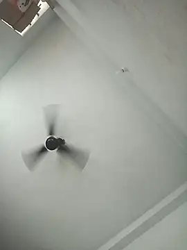 pintuS40 online show from 11-06-25, 03:07