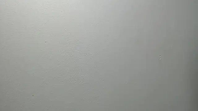 sussy leon online show from 02-27-25, 12:34