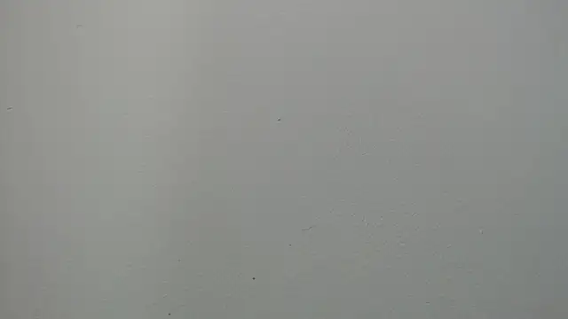 sussy leon online show from 03-14-25, 01:02