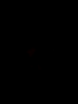 otease online show from 07-23-26, 05:27