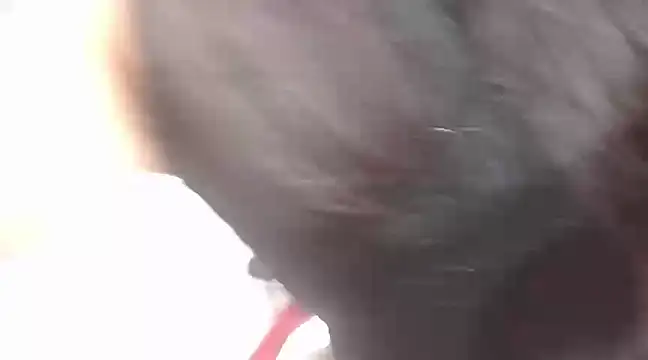 Snapshot of viki_mom chatting on 01-21-25, 10:08 viki mom online show from 01-21-25, 10:08