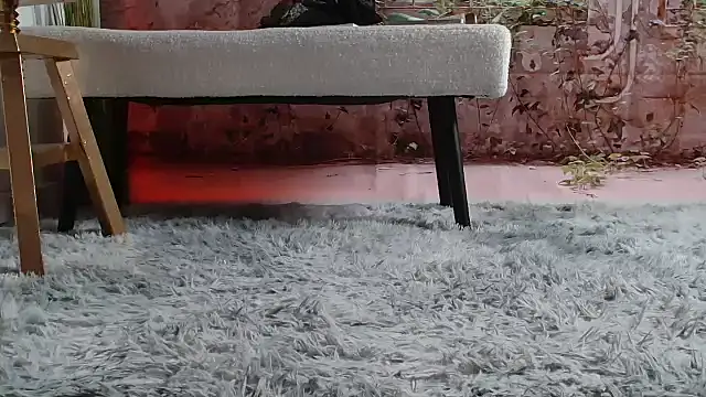 priselvis23 online show from 03-12-25, 06:22