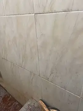 Snapshot of ASIF_F chatting on 12-08-24, 04:04 ASIF F online show from 12-08-24, 04:04