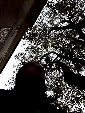 openlegsforyou online show from 11-22-25, 10:03