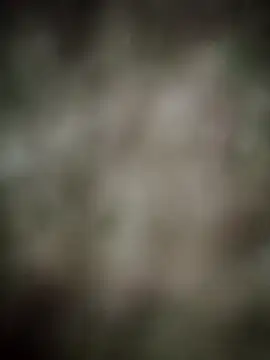 INDIANBOY7439 online show from 03-05-26, 10:33