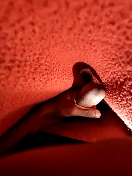 Snapshot of Ssdhaka11 chatting on 12-25-24, 07:13 Ssdhaka11 online show from 12-25-24, 07:13